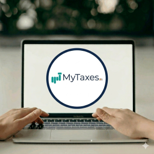 2025 Income Tax Declaration: Standard